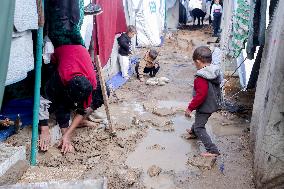 Displaced Families Suffer Harsh Weather Conditions - Gaza