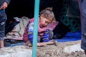 Displaced Families Suffer Harsh Weather Conditions - Gaza