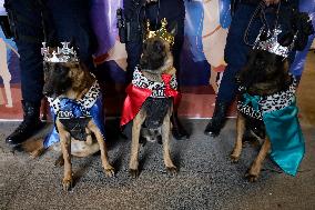 Dogs And Police In Mexico City Dress Up As The Three Wise Men