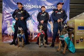 Dogs And Police In Mexico City Dress Up As The Three Wise Men