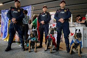 Dogs And Police In Mexico City Dress Up As The Three Wise Men