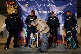 Dogs And Police In Mexico City Dress Up As The Three Wise Men