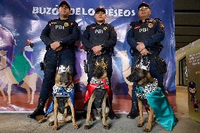 Dogs And Police In Mexico City Dress Up As The Three Wise Men