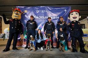 Dogs And Police In Mexico City Dress Up As The Three Wise Men