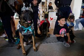 Dogs And Police In Mexico City Dress Up As The Three Wise Men