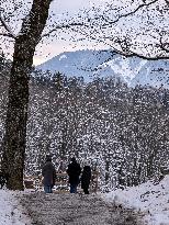 Snow Hiking In Bavaria