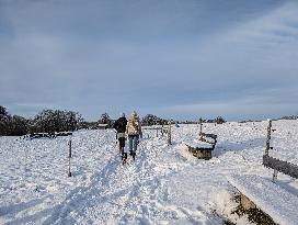 Snow Hiking In Bavaria