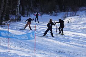 Illustration - Cross-Country Ski - Montgenevre