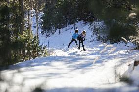 Illustration - Cross-Country Ski - Montgenevre