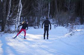 Illustration - Cross-Country Ski - Montgenevre