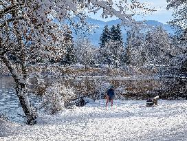 Winter Bathing In The Bavarian Lake Staffelsee