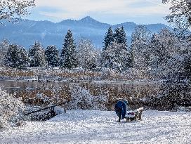 Winter Bathing In The Bavarian Lake Staffelsee