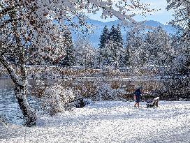 Winter Bathing In The Bavarian Lake Staffelsee