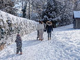 Winter Walk In Bavarian Countryside