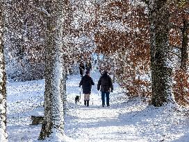 Winter Walk In Bavarian Countryside