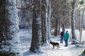 Winter Walk In Bavarian Countryside