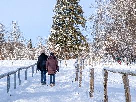 Winter Walk In Bavarian Countryside