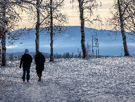 Winter Walk In Bavarian Countryside