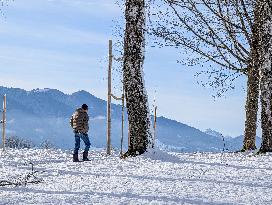 Winter Walk In Bavarian Countryside