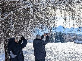 Winter Walk In Bavarian Countryside