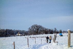 Winter Walk In Bavarian Countryside