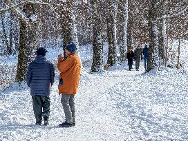 Winter Walk In Bavarian Countryside