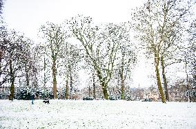 First Snowfall Of The Year In The Netherlands.