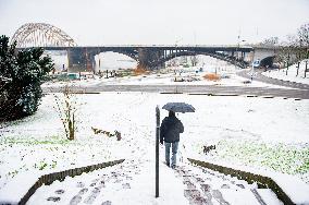 First Snowfall Of The Year In The Netherlands.