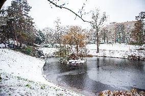 First Snowfall Of The Year In The Netherlands.