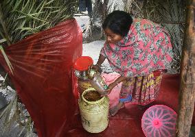 Jaggery Making On The Outskirts Of Kolkata, India