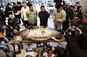 New Year tuna auction in Tokyo