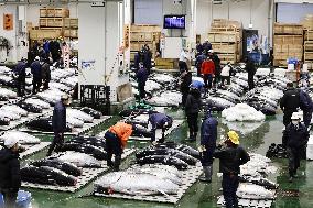 New Year tuna auction in Tokyo