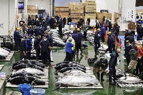 New Year tuna auction in Tokyo