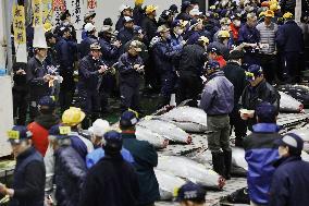 New Year tuna auction in Tokyo