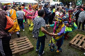 Carnaval de Negros y Blancos - Black and Whites Carnival