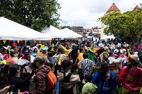 Carnaval de Negros y Blancos - Black and Whites Carnival