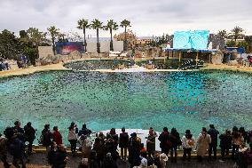 Last Day Before The Final Closure Of Marineland - Antibes