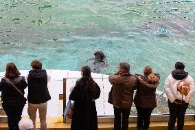 Last Day Before The Final Closure Of Marineland - Antibes