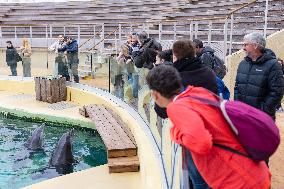 Last Day Before The Final Closure Of Marineland - Antibes