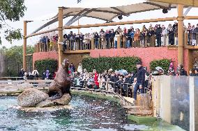 Last Day Before The Final Closure Of Marineland - Antibes