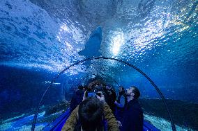 Last Day Before The Final Closure Of Marineland - Antibes