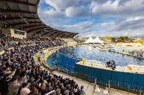 Last Day Before The Final Closure Of Marineland - Antibes