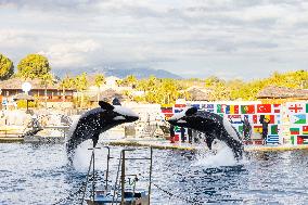 Last Day Before The Final Closure Of Marineland - Antibes