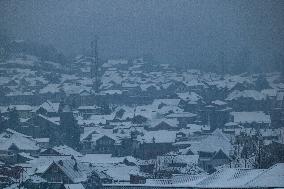 Fresh Spell Of Snowfall In Kashmir