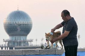 Pet industry in China