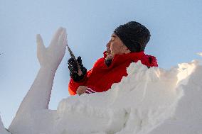 Snow Sculpture Competition - China