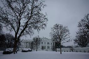 Snow at the White House - DC