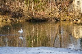 Walk Along The River Isar In Bad Toelz