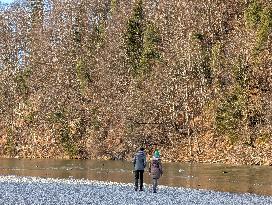 Walk Along The River Isar In Bad Toelz