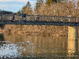 Walk Along The River Isar In Bad Toelz